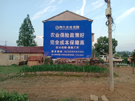 乐山墙体广告为何受追捧？