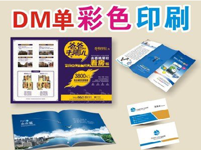 乐山单页印刷，色彩搭配简单。